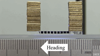 1591948329765719.gif 5.gif