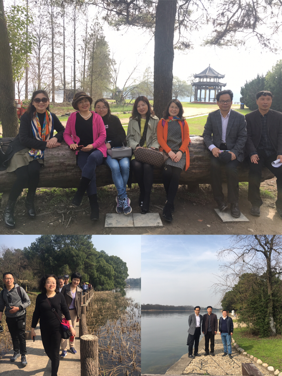 1552616555112868.jpg 拼图2.jpg