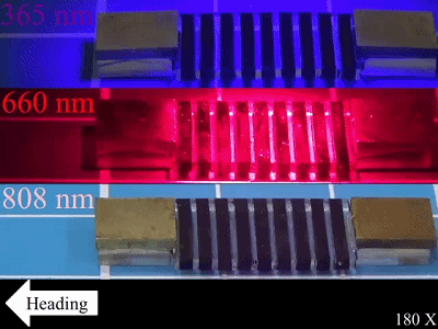 1591948254135830.gif 3.gif