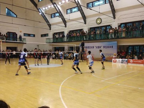 1553666363136161.jpg 2.jpg