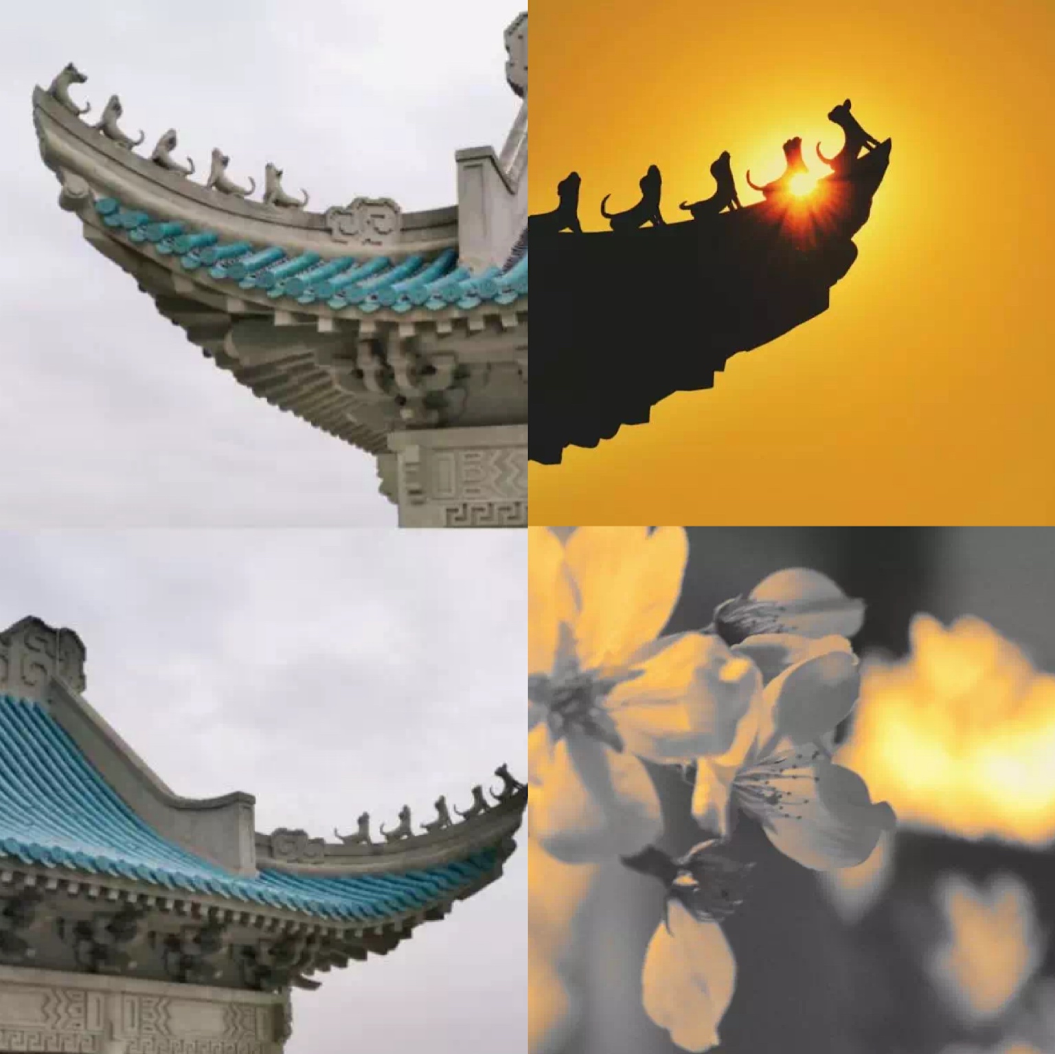 1575864548764459.jpg 1575864548764459.jpg